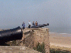 Medb, Bran, Stephanie, and Sine look out over the coast from Bamburgh Castle (05/03/99). Click here for full size image.