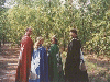 Bran, Rhiannon, Susan, and Oshi show off their Pelican cloaks. Click here for full size image.