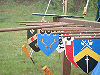 Heraldic display on the field. Click here for full size image.